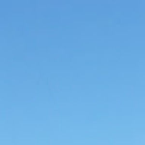 Meet your Posher, Sonny